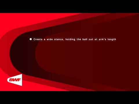 CE2M8V56 Swiss Ball   Wood Chop