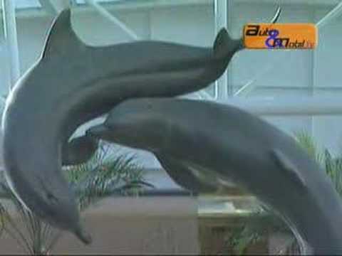 Auto und Mobil TV, Reisetipp Kreuzfahrtschiff