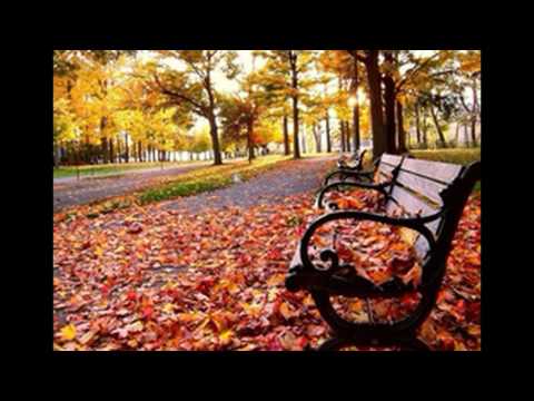 Kasveti Şair Şiirin Her Hecesi albüm tanitimi