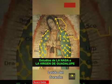 ESTUDIOS DE LA NASA A  LA VIRGEN DE GUADALUPE #shorts #mexico #virgendegudalupe