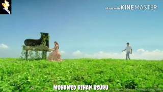 UU Status NO 37