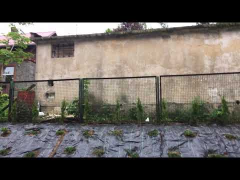 Widok z apartamentu 706 Sowia Dolina Artus Resort