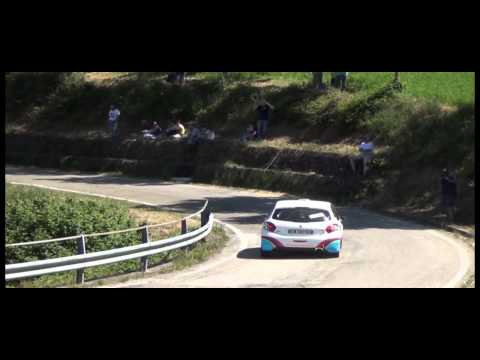 PS 3 Rally della Romagna 2014 Battilani-Cerlini Peugeot 208 R2B Publirace