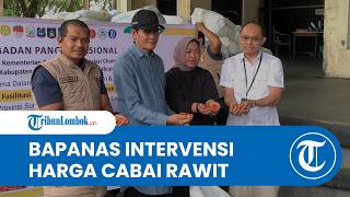 Kendalikan Harga Cabai di Lombok: Bapanas Beri Subsidi Distribusi dan Patok Harga Maksimal Rp73 Ribu