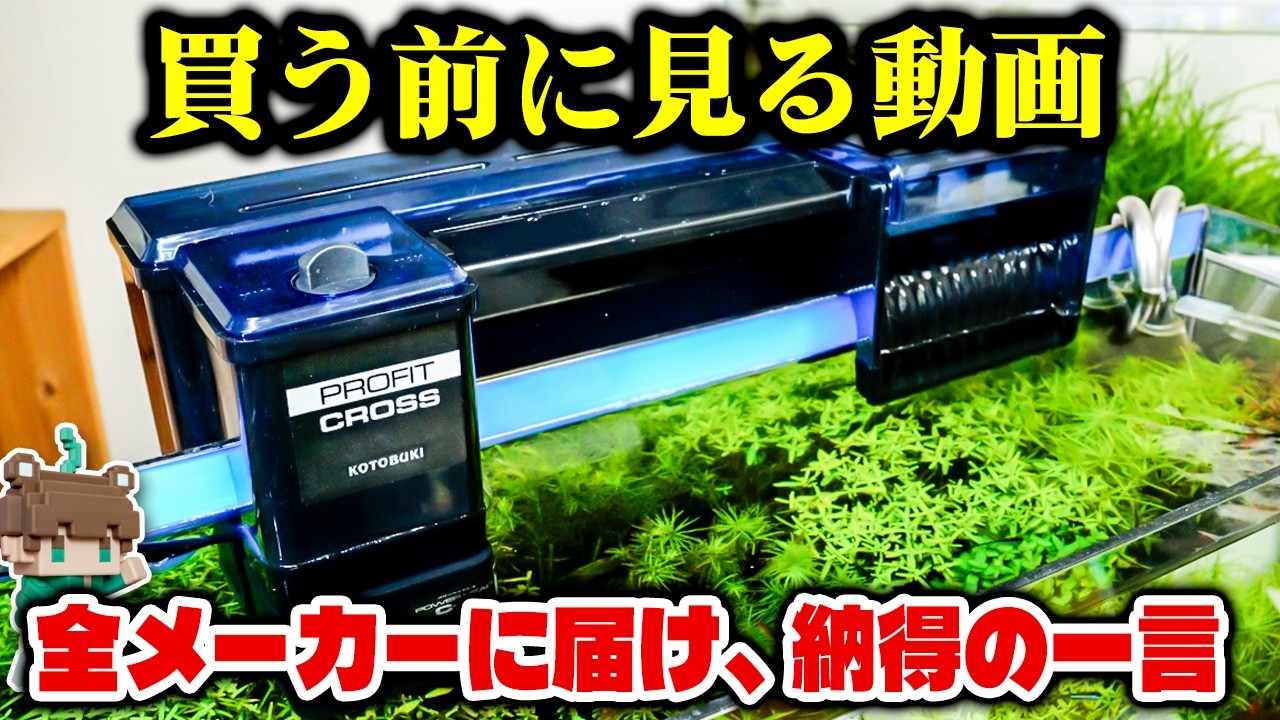 【最速レビュー】コトブキプロフィットクロス購入レビュー！オールガラス水槽とフレーム水槽に設置、この存在感はすごい…良い点悪い点全部紹介します【ビバアクア】#アクアリウム #熱帯魚
