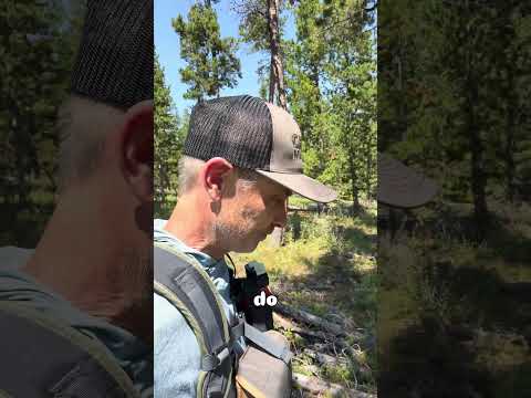 Elk vs Whitetail… the difference is insane 🫎🌲