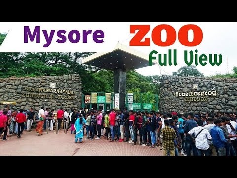 MYSURU : A DAY AT MYSURU ZOO - OFFICAIL DOCUMENTARY (HD)