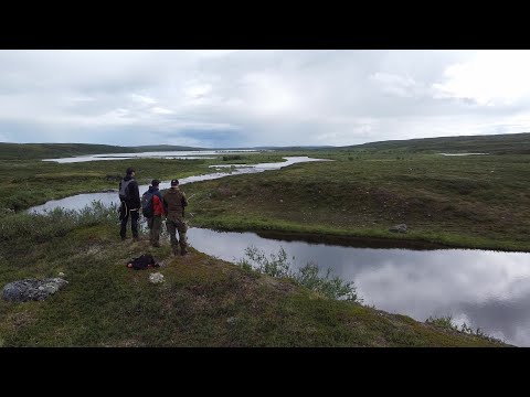 Pekkojen Pojat Finnmarkissa osa 2/2 - Hyttysten ja Harjusten Valtakunta