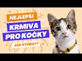 Krmivo pro kočky Taste of the Wild Rocky Mountain Feline 6,6 kg