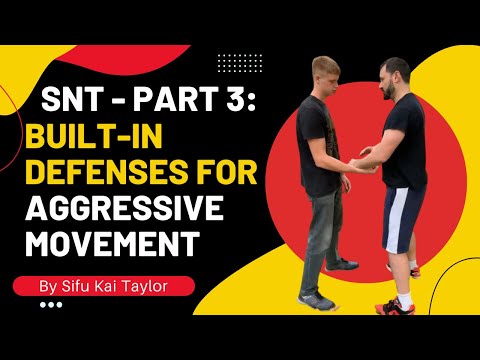 Wing Chun Movements Have Built-In Defences To Allow Us To Be More Aggressive! #shorts