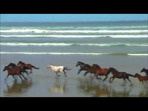 Love To Horses And Sunshine - J. Bleymehls
