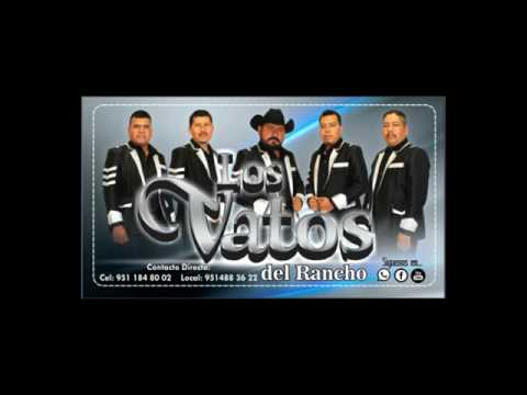 download lagu mp3 mp4 Cuatro Sentidos, download lagu Cuatro Sentidos gratis, unduh video klip Cuatro Sentidos