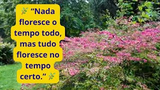 Quando a Natureza Floresce — A Beleza do Recomeço ✨