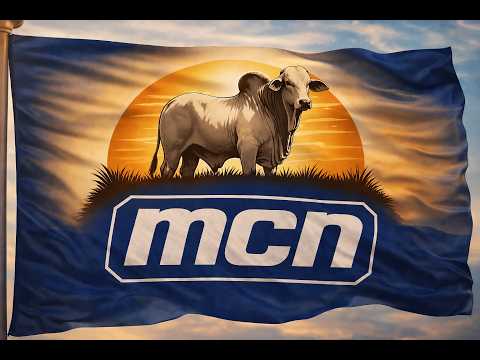 🐮TRADICIONAL LEILÃO DE GADO DE CORTE VARJÂO DE MINAS - MG