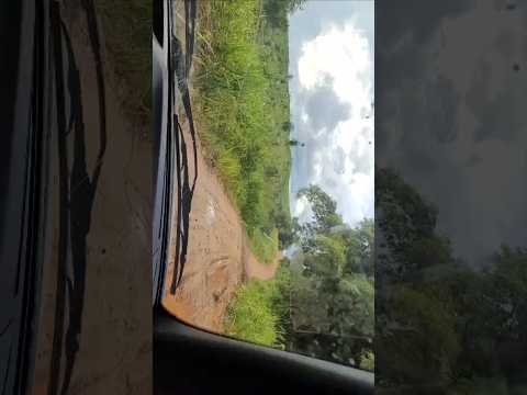 Fazenda em São Geraldo do Araguaia.pa2.100 alqueire1.160 de abertura 34984151955 #gado #fazenda