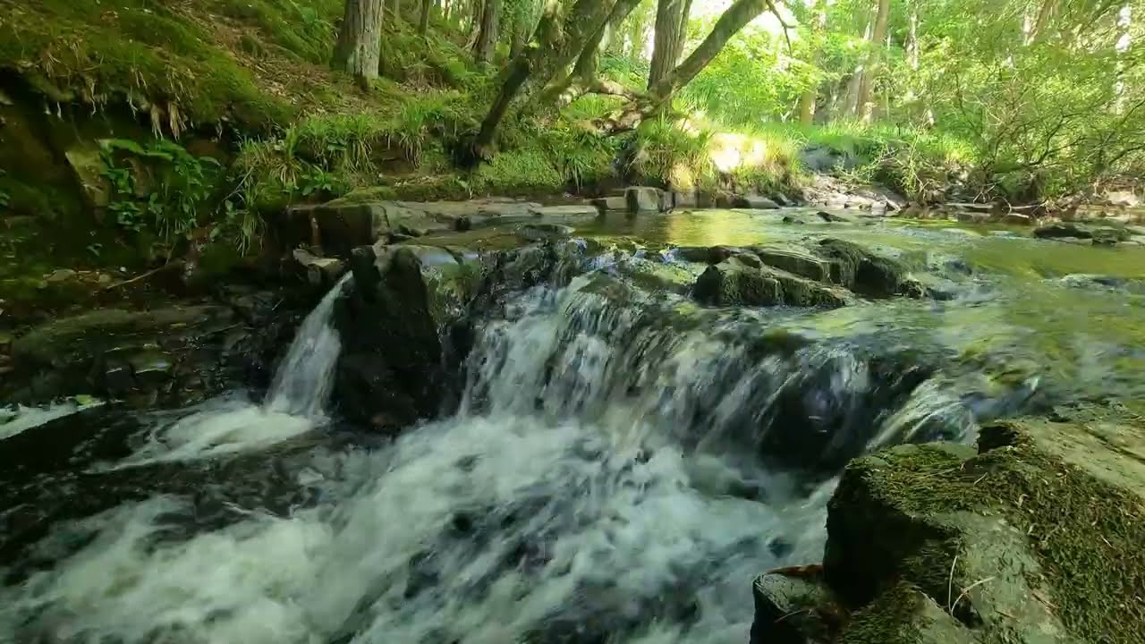 Relaxing Waterfall Sounds | Finding Peace in Deep Woodland