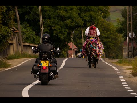 Thumbnail of the video: Flavours of Romania trailer
