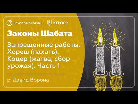 Законы Шабата. Урок 21: Запрещенные работы. Хореш (пахать). Коцер (жатва, сбор урожая)