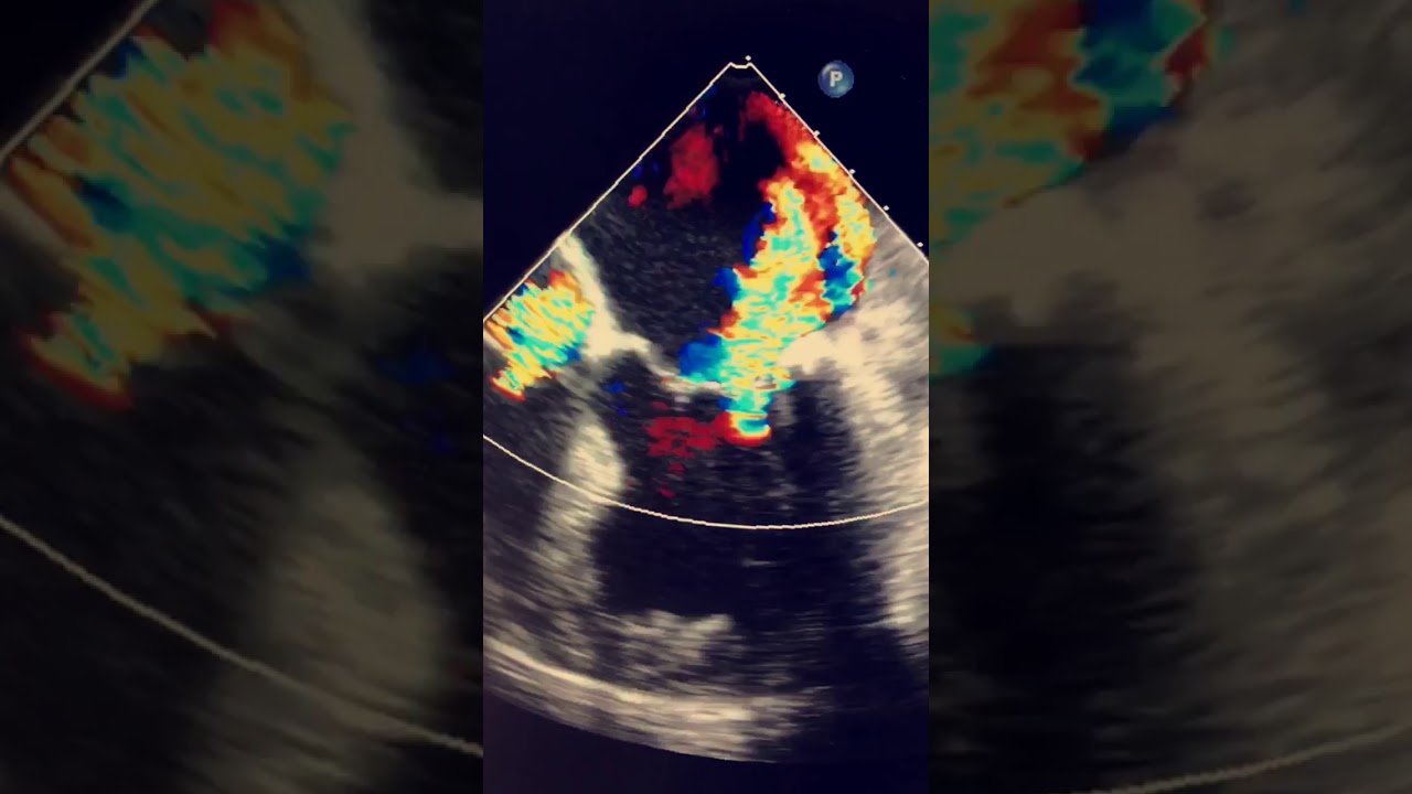 Paulina Orosa Fernández-12