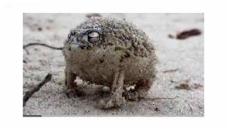 [情報] 郭永維飛球漏接反彈手套擊中臉部