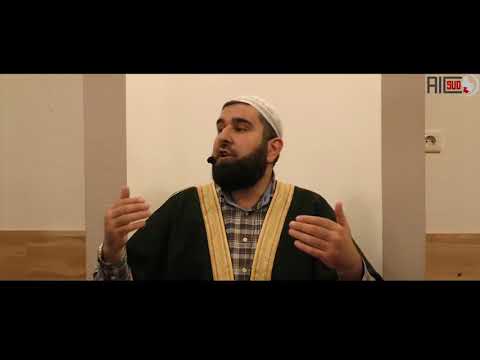 Hfz Zikret ef. Mustafić - Neosnovani hvalospjevi i kritike