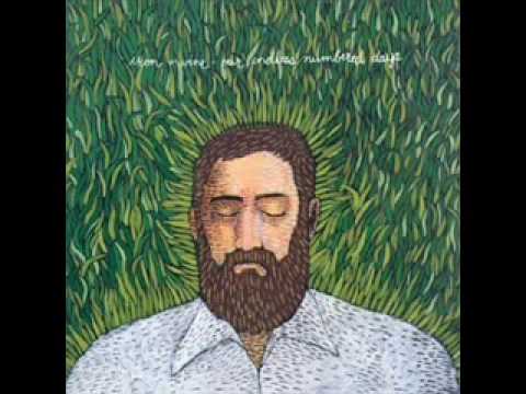 ♫♪♬♪ Iron & Wine~Teeth In The Grass.flv