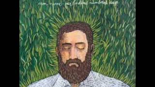 ♫♪♬♪ Iron &amp; Wine~Teeth In The Grass.flv