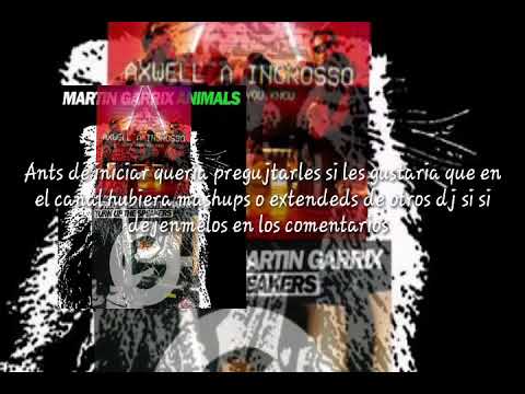 Animals Vs.  Turn Up The Speakers Vs.  More Than You Know (Martin Garrix EDC Las Vegas 2018)