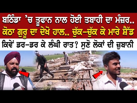 bathinda ’ਚ ਤੂਫਾਨ ਨਾਲ ਹੋਈ ਤਬਾਹੀ ਦਾ ਮੰਜ਼ਰ.. kotha guru ਦਾ ਦੇਖੋ ਹਾਲ.. ਚੁੱਕ-ਚੁੱਕ ਕੇ ਮਾਰੇ ਸ਼ੈੱਡ