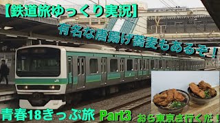 【鉄道旅ゆっくり実況】青春18きっぷ旅 part3　おら東京さ行くだ！