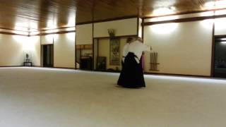 preview picture of video 'Alain Salée Sensei Aikido Aikikai Verviers 26/11/2012'