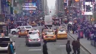 Close Lobsters New York City In Space