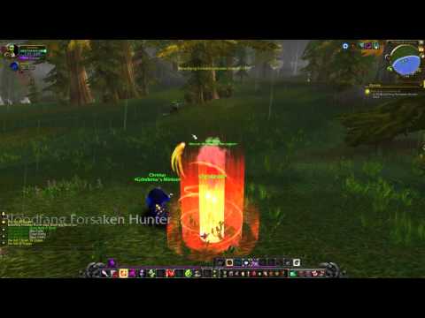 WoW quest #1366 Helcular's Command