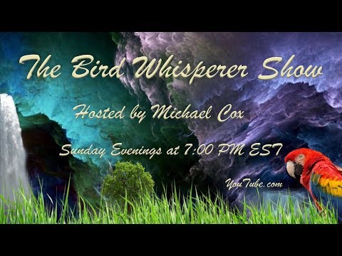 Welcome Christine of Christine's Chop Shop!