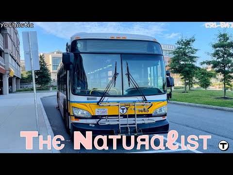 The Naturalist | Yoshi's Ride Series {S12-E14} - Riding the 450W 🚌 - {MBTA}