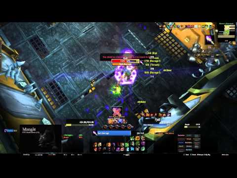 [Brawler's Guild] Rank 5 - Fjoll