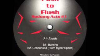 Push To Flush - Sodomy Acts #1 - Angels