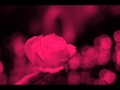 Days Of Wine And Roses - Michel Petrucciani