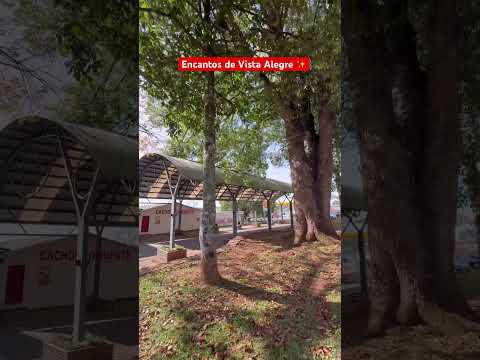 Encantos de Vista Alegre ✨ #riograndedosul  #cidade #lugares