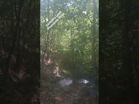 A cachoeira Landi é a segunda dentro da trilha de 1.5km da Cachoeiras Bonsucesso em Pirenopolis GO