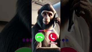 Download lagu Calling #animals #monkey #ringtone #shortvideo #shorts mp3