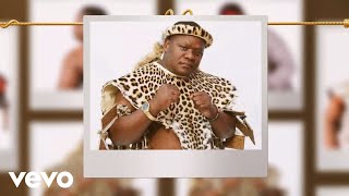 Download lagu Ayaphi Amaphoyisa mp3