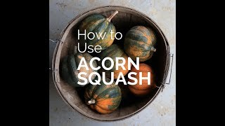How to Use, Prep, and Store Acorn Squash (with recipe)