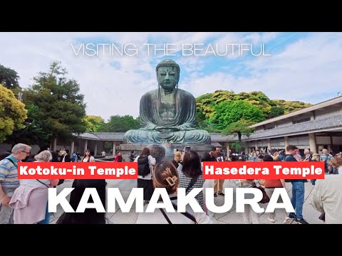 [4K HDR] Exploring The Famous Temple In Kamakura, Japan | Kotoku-in Temple | Hasedera Temple