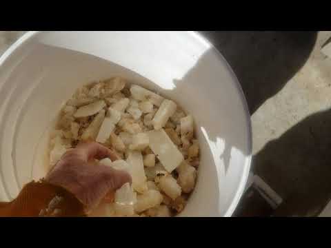 Preparing Honey Bee Colonies For Winter After Feeding Syrup