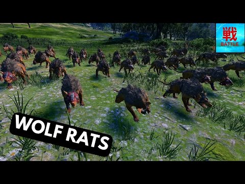 Are Wolf Rats Any Good? - Skaven Unit Focus