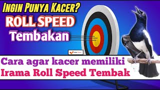 Download lagu Cara Agar KACER Memiliki irama ROLL SPEED TEMBAKAN mp3 Download lagu Cara Agar KACER Memiliki irama ROLL SPEED TEMBAKAN mp3