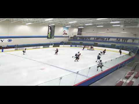 Will Casseau #7, Center, White Jersey, St. Louis AAA Blues