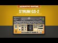 Video 1: Acoustic Side of Strum GS2