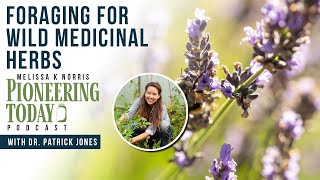 EP: 403 Foraging for Wild Medicinal Herbs with Dr. Patrick Jones